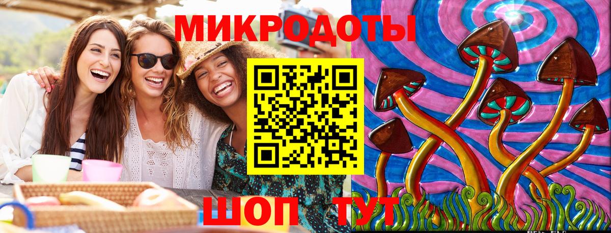 Псилоцибиновые грибы Psilocybe Лабинск