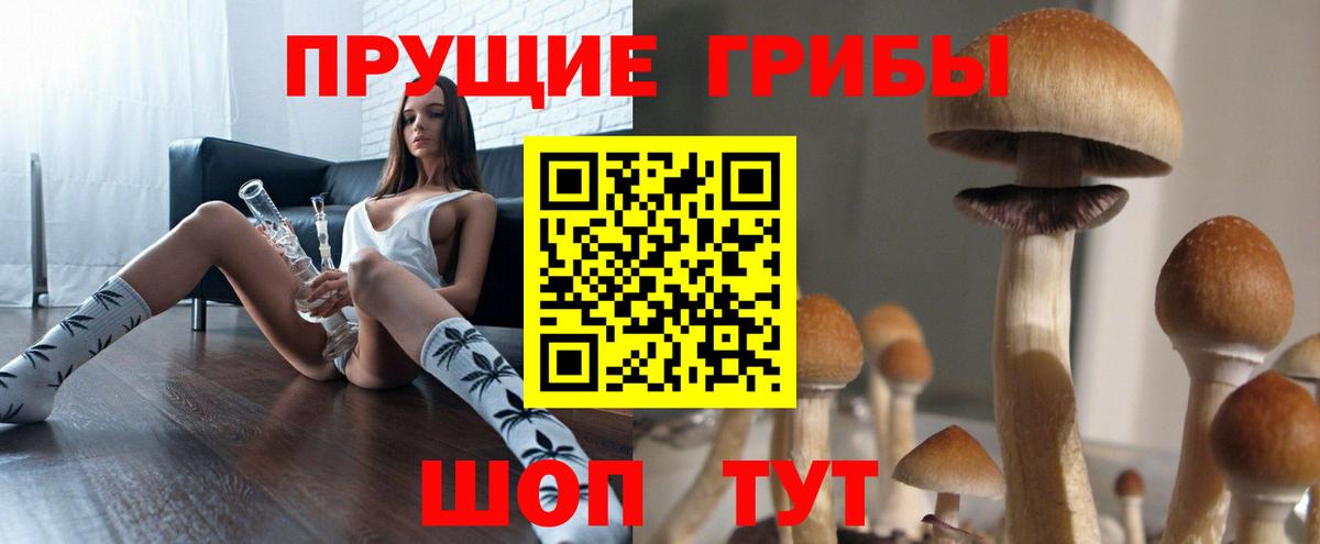 Галлюциногенные грибы Psilocybe  Псилоцибиновые грибы Psilocybine cubensis  Вход с VPN  Лабинск 